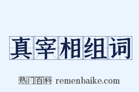 真宰相组词是什么意思的图片